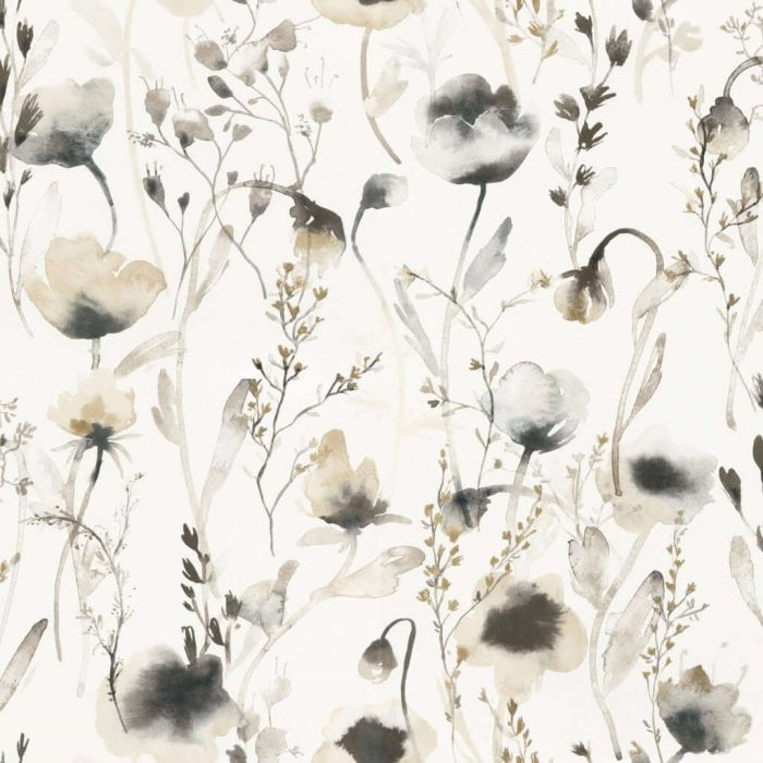 Lo Hazel - Sandberg