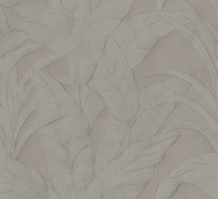 Musa Silver - Arte