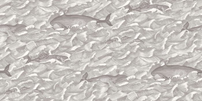 Melville, Soot & Snow - Cole & Son