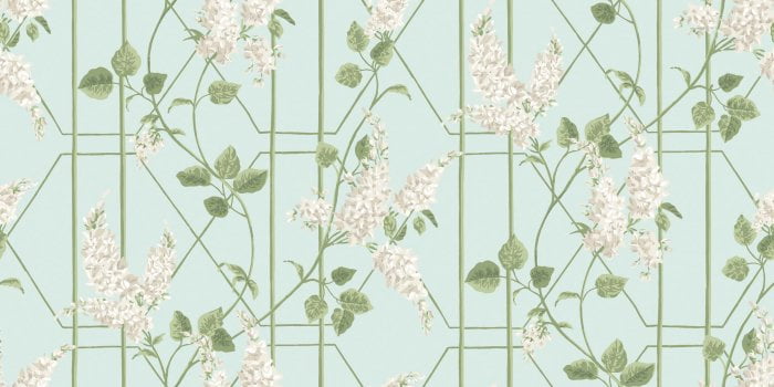 Wisteria, Stone & Olive on Duck Egg - Cole & Son