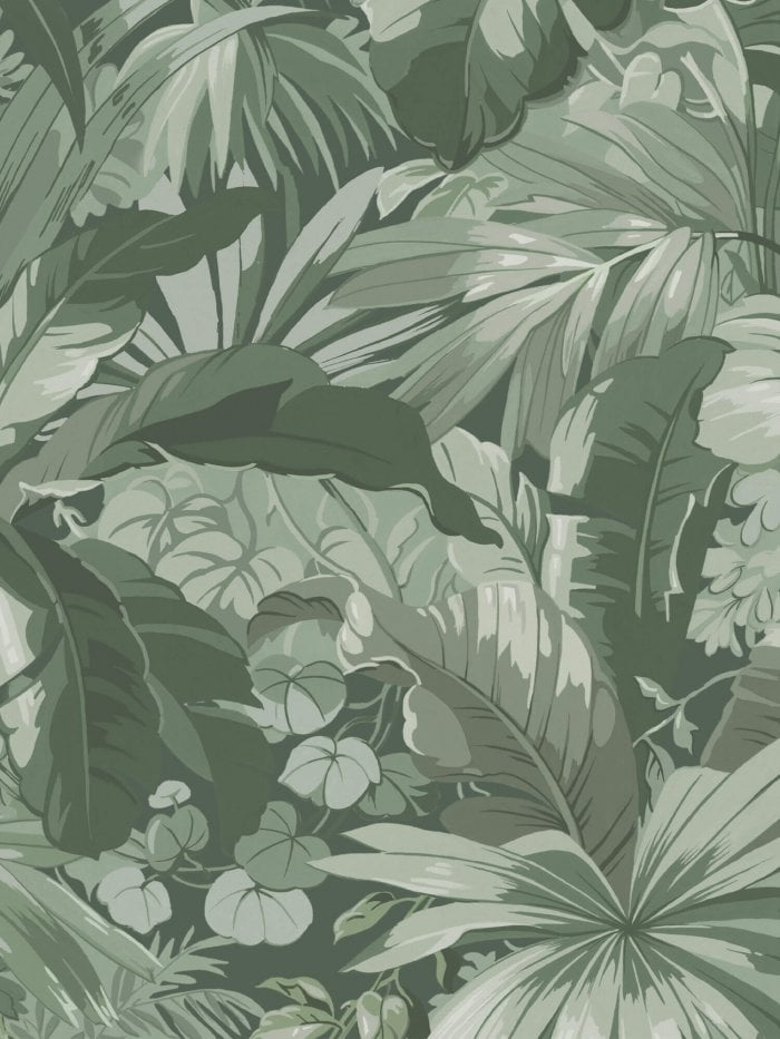 Palm Leaf - Boråstapeter