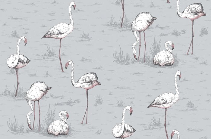 Flamingos, Heath Grey - Cole & Son