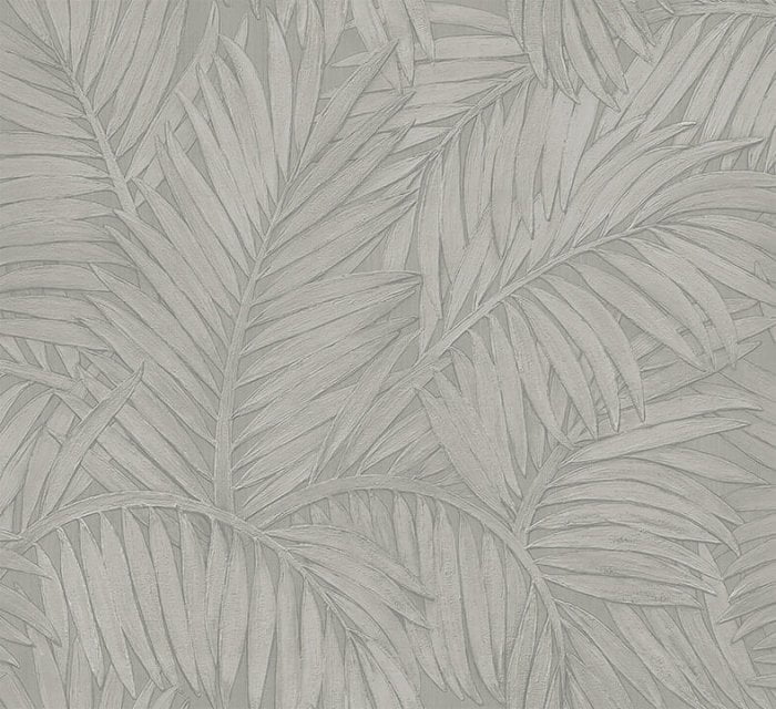 Sabal Silver - Arte