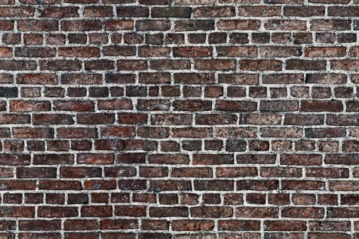 Newport - Rebel Walls