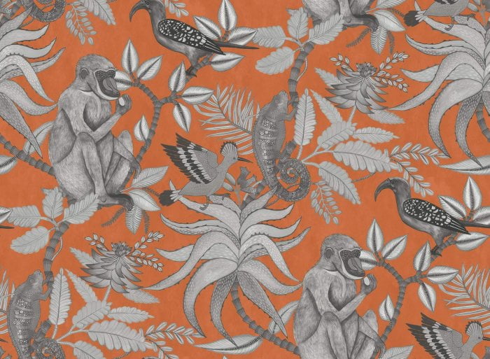 Savuti, Soot on Tangerine - Cole & Son