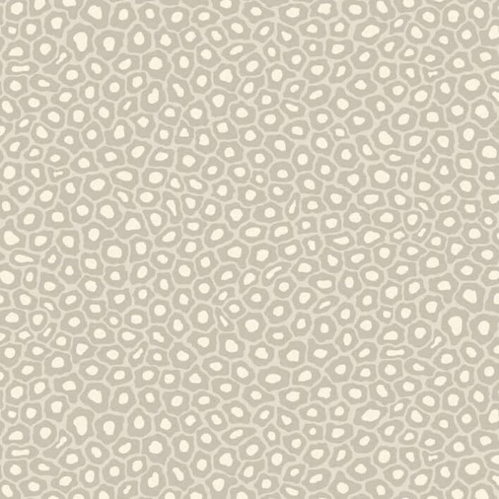 Senzo Spot - Cole & Son
