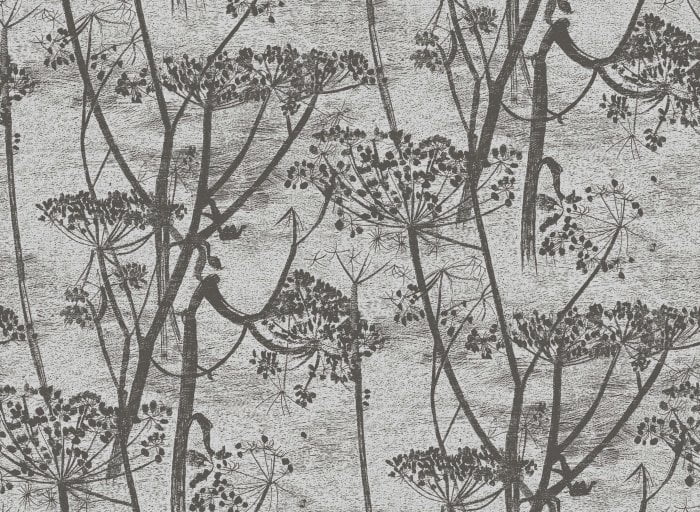 Cow Parsley - Cole & Son