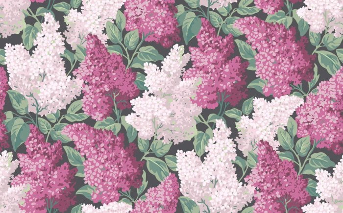 Lilac, Magenta & Blush on Charcoal - Cole & Son