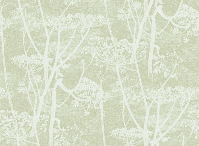 Cow Parsley, Olive - Cole & Son