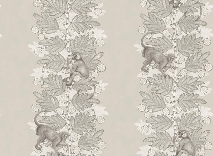 Acacia, Taupe & White on Stone - Cole & Son