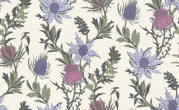 Thistle, Lilac & Cerise on White - Cole & Son