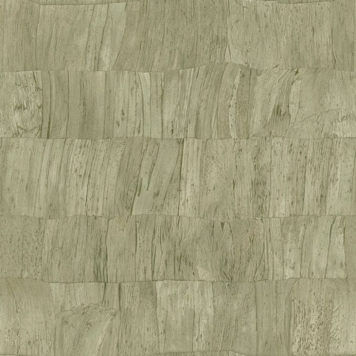 Capas 34304 - Arte