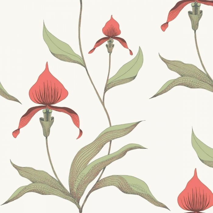 Orchid - Cole & Son