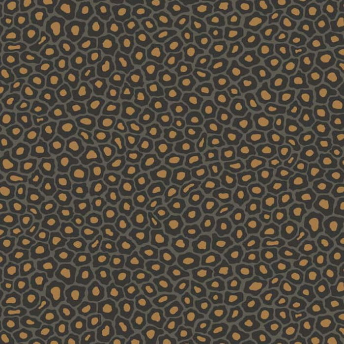 Senzo Spot, Charcoal & Metallic Gold - Cole & Son