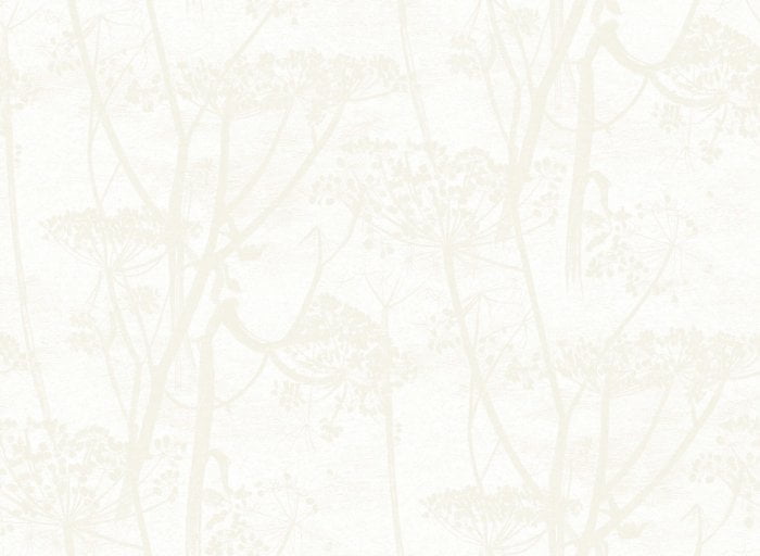 Cow Parsley - Cole & Son