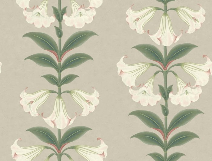 Angel's Trumpet - Cole & Son