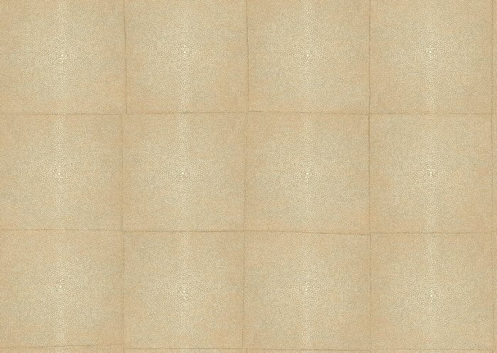 Shagreen Sand - Arte