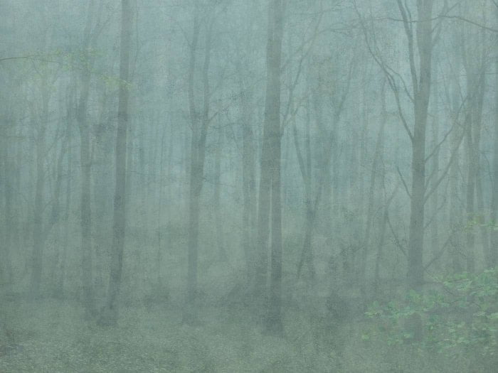 Skog Forest Green - Sandberg