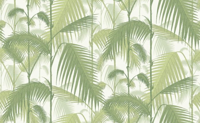 Palm Jungle - Cole & Son