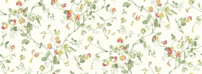 Sweet Pea, Yellow & Coral on Cream - Cole & Son