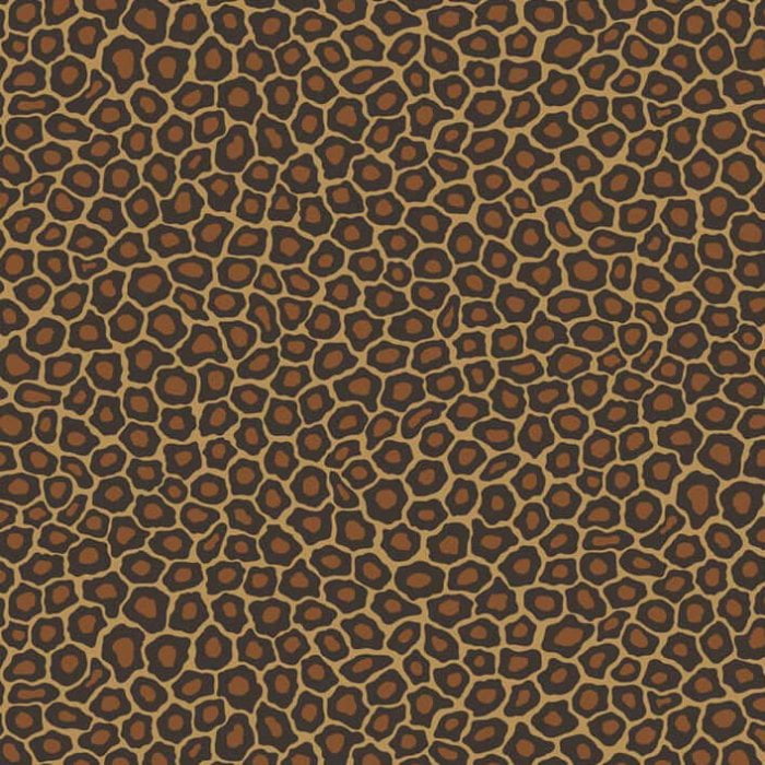 Senzo Spot, Charcoal & Ginger - Cole & Son