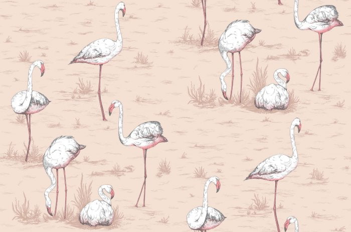 Flamingos, Plaster Pink - Cole & Son