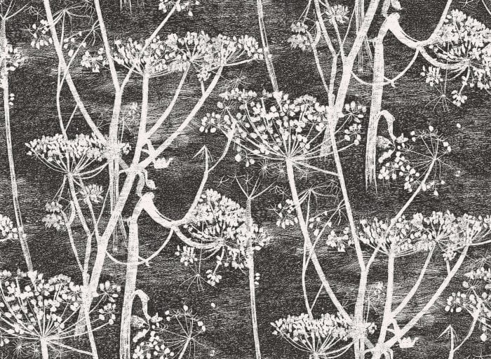 Cow Parsley - Cole & Son