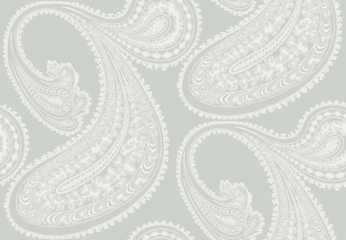 Rajapur - Cole & Son