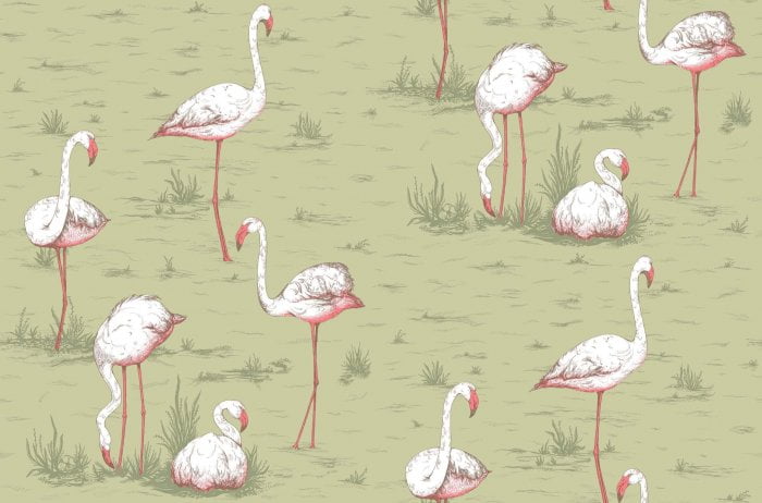 Flamingos, Olive - Cole & Son