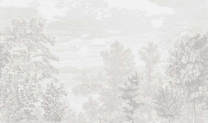 Etched Landscape - Boråstapeter