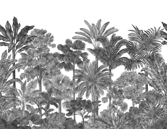 Tropical Bellewood, Graphite - Rebel Walls