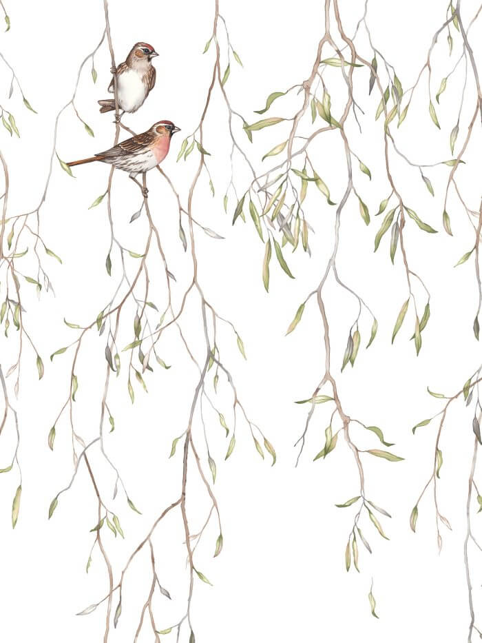 Spring Birds - Boråstapeter