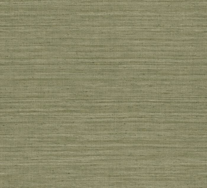 Lignes Olive - Arte