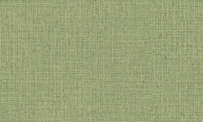Nongo Olive - Arte