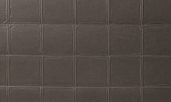 Alma Taupe - Arte