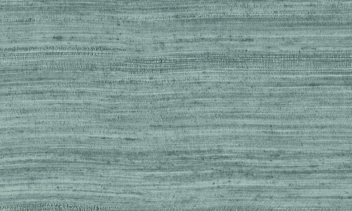 Tasar Teal - Arte
