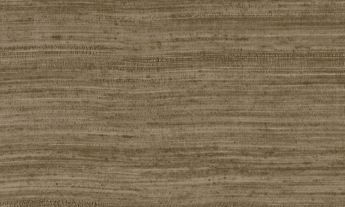 Tasar Bronze - Arte