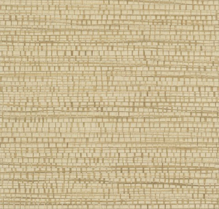 Ruban Honey Beige - Arte