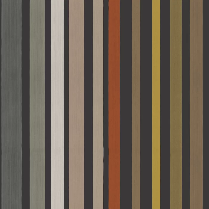 Carousel, Stripe Black - Cole & Son