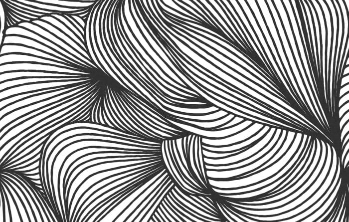 Opulence Lines, Graphite - Rebel Walls