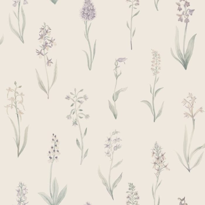 Alma, Lilac - Sandberg