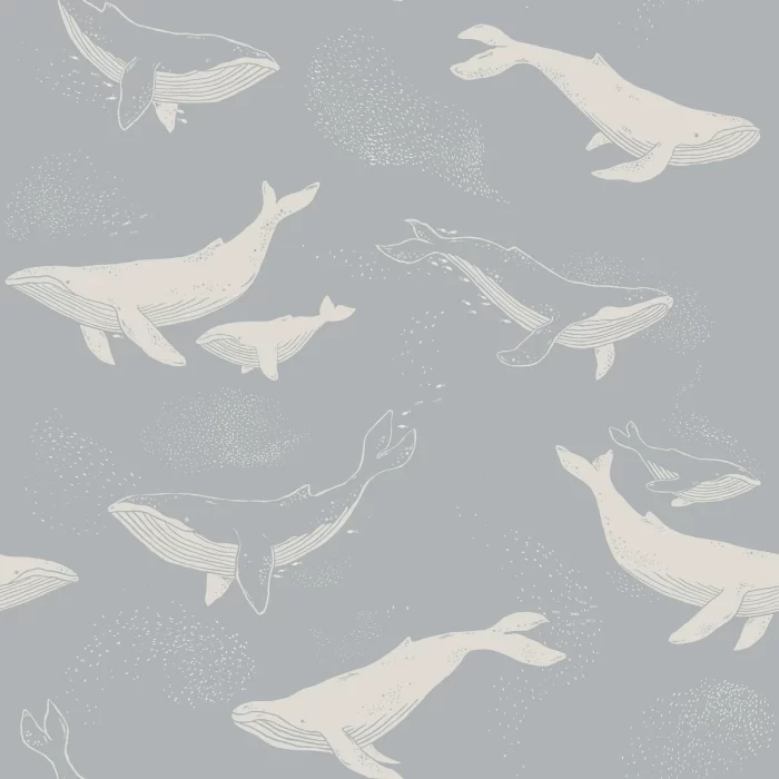 Whales - Boråstapeter
