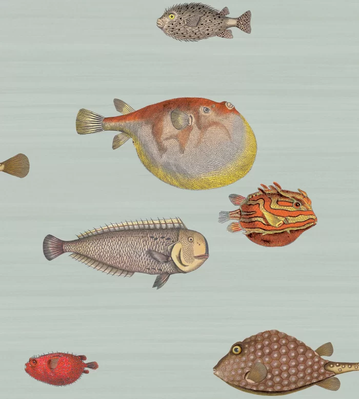 Acquario Print Room Blue - Cole & Son