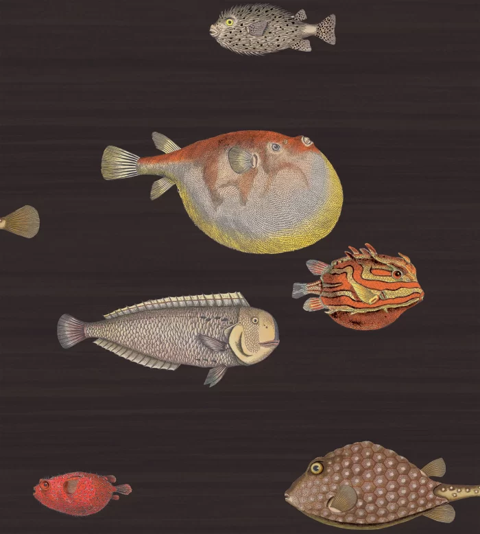 Acquario Charcoal - Cole & Son