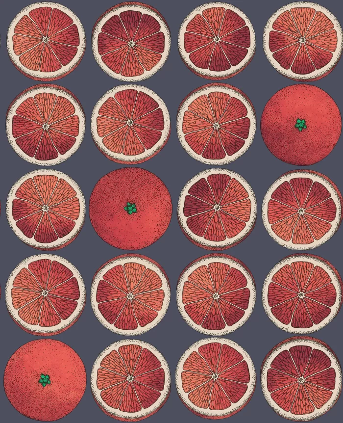 Arance Blood Orange & Ink - Cole & Son