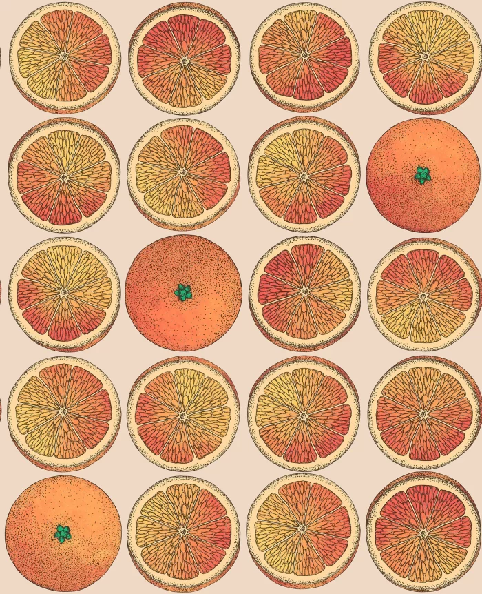 Arance Orange & Cream - Cole & Son