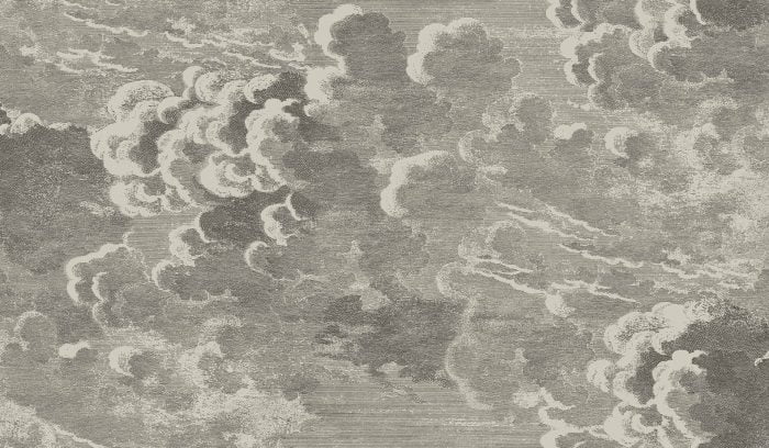 Nuvolette, Metallic Gilver & Charcoal - Cole & Son (2 rúllur)