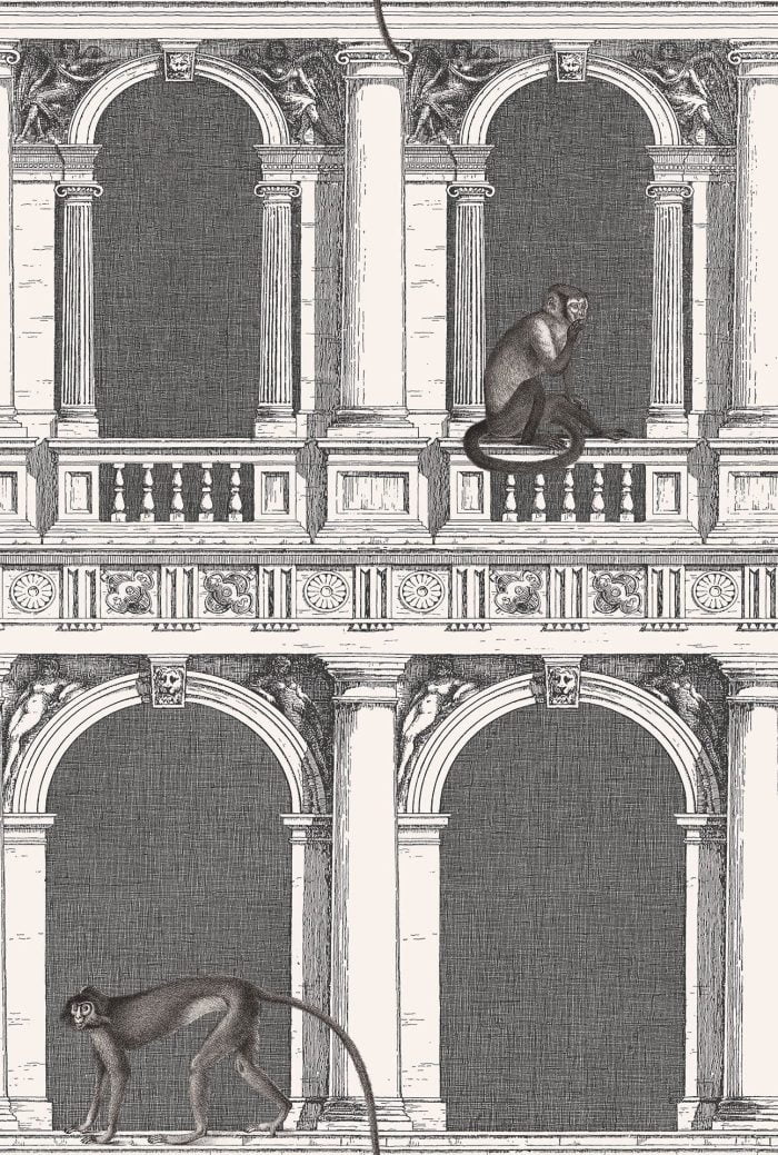 Procuratie e Scimmie - Cole & Son
