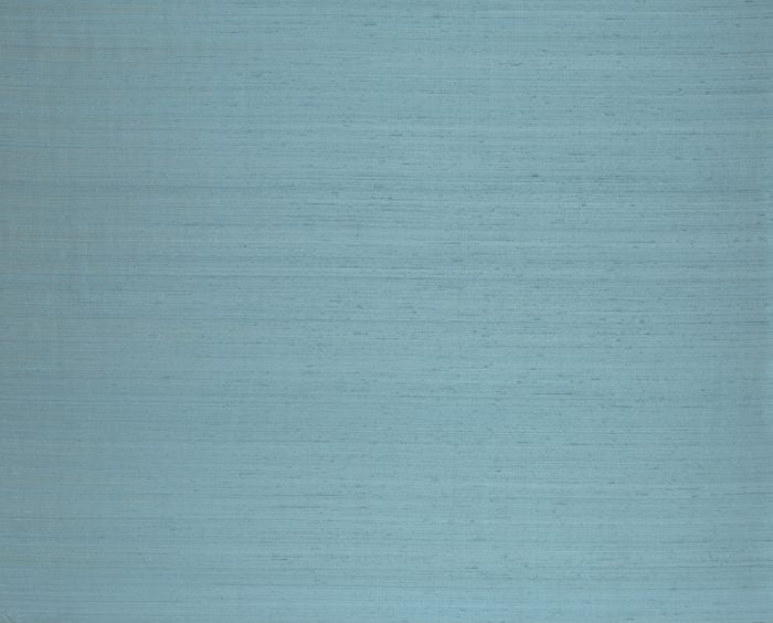 Papillon Turquoise - Arte