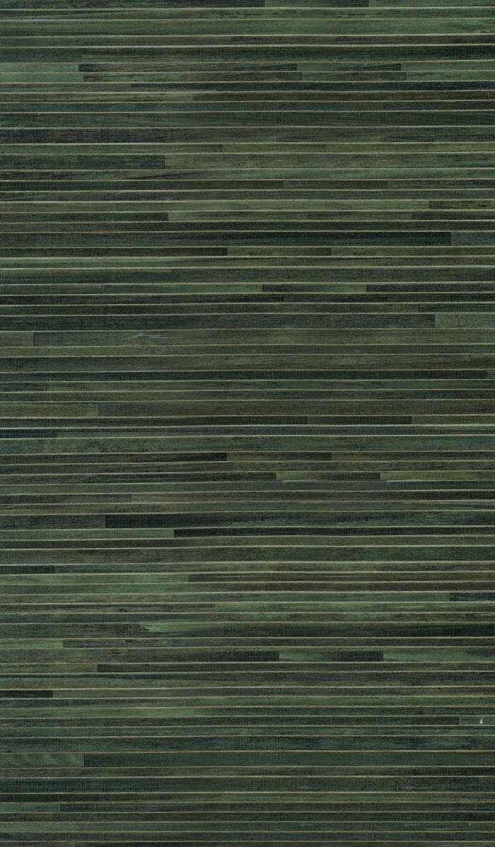 Casalian Evergreen - Arte